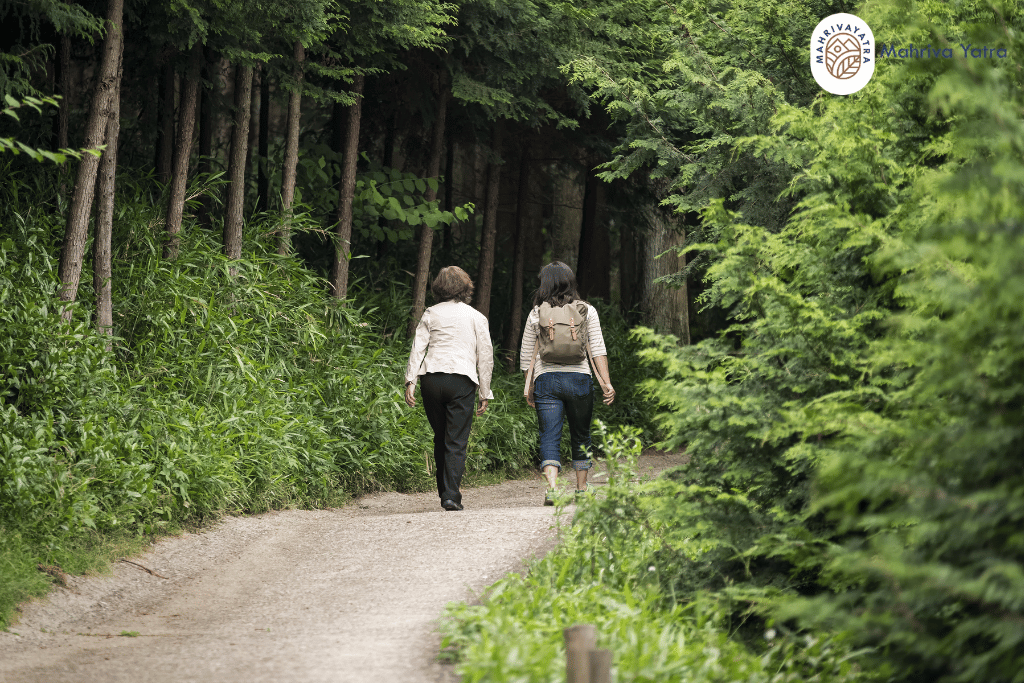 forest bath walking