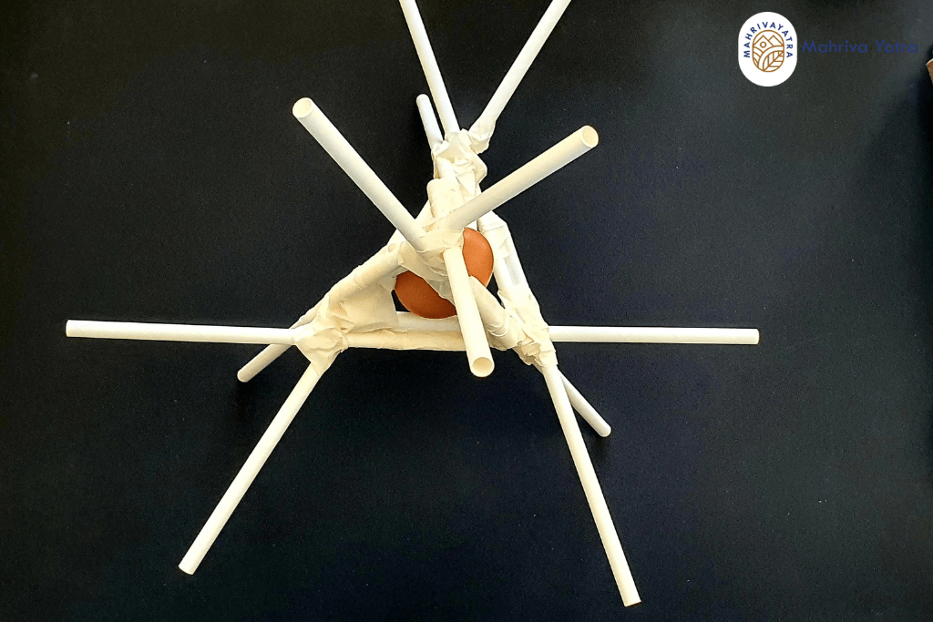 egg drop challenge