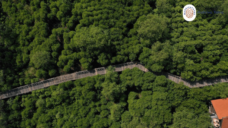 Ekowisata Mangrove Wonorejo Surabaya Jawa Timur
