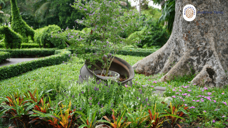 Kebun Raya Bali Bedugul