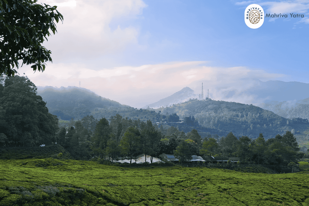 Kenapa Memilih Paket Team Building Bogor