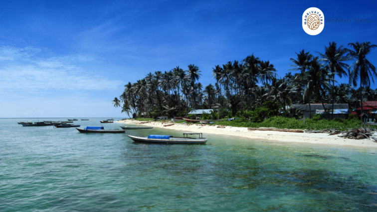 Pulau Derawan Kalimantan Timur dengan ekosistem laut alami dan program konservasi penyu