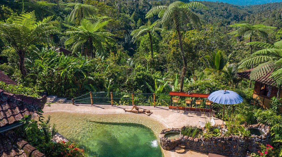 Natural pool at Sarinbuana Eco Lodge Bali