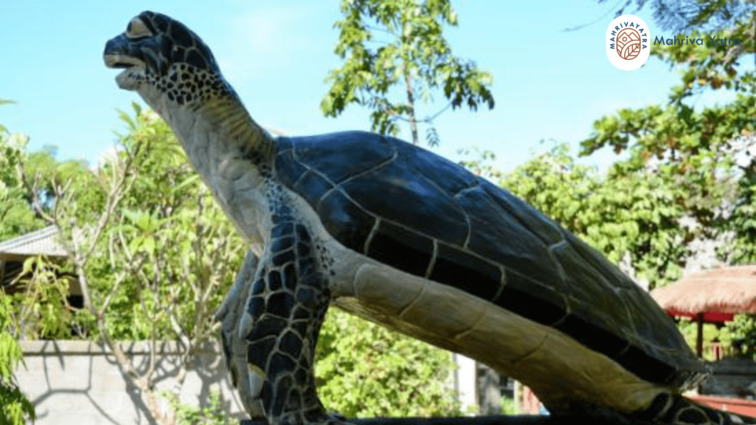 Serangan Turtle Conservation and Education Center Bali